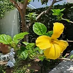 Aeropis Villa, Chania Vakantiehuis