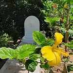 Aeropis Villa, Chania *