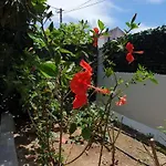 Prázdninový dům Aeropis Villa, Chania *