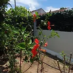 Aeropis Villa, Chania Prázdninový dům Chania (Crete)
