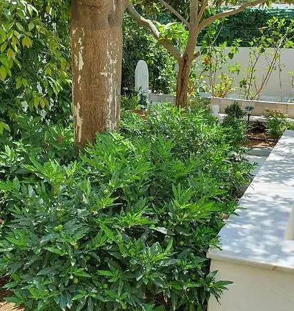 Aeropis Villa, Chania *