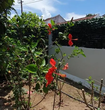 Aeropis Villa, Chania 度假居 干尼亞