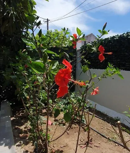 Vakantiehuis Aeropis Villa, Chania *