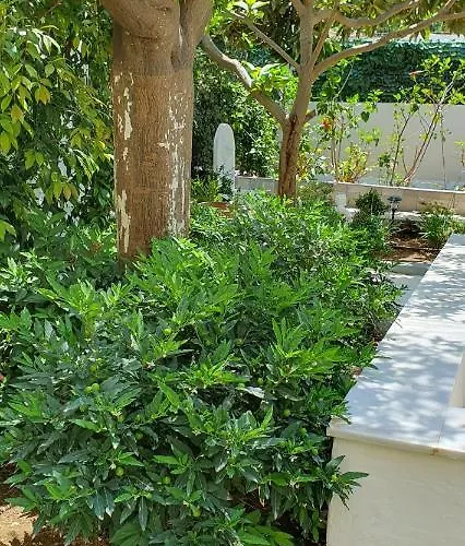 Aeropis Villa, Chania *