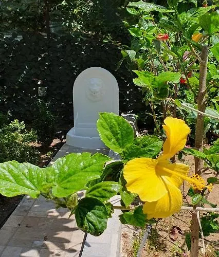 Aeropis Villa, Chania *