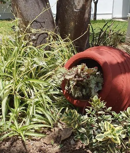 Aeropis Villa, Chania *