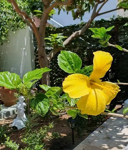 Aeropis Villa, Chania Сasa de vacaciones