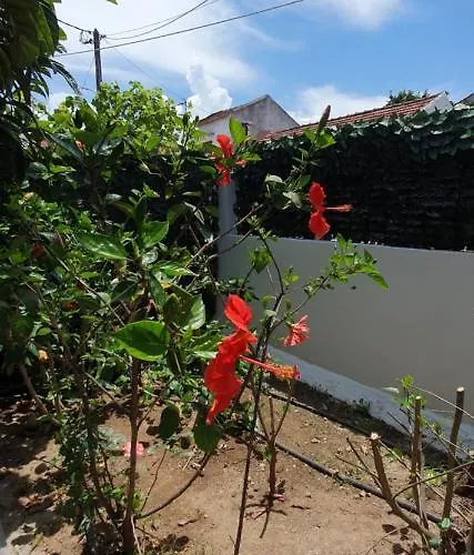 Aeropis Villa, Chania בית נופש חאניה