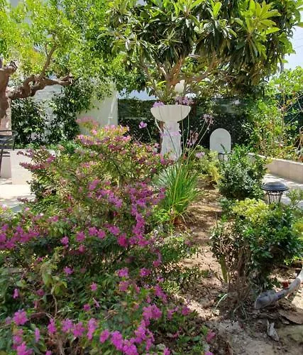 Aeropis Villa, Chania בית נופש חאניה